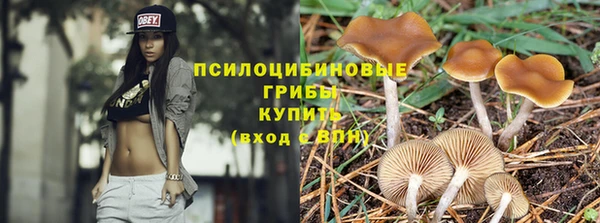 a pvp Абдулино